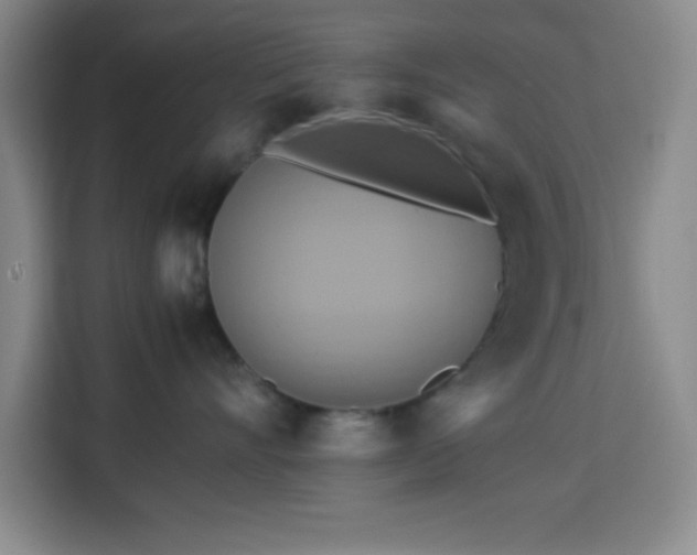 X0000113750528200909301034