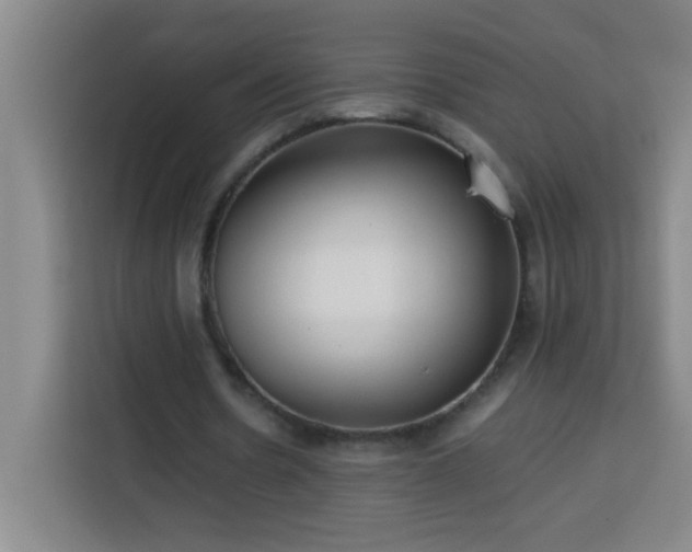 X0000113750530200909301033