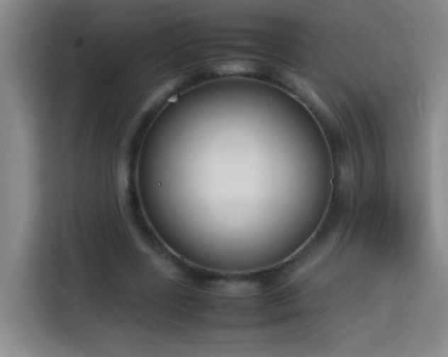 X0000113750539200909301034