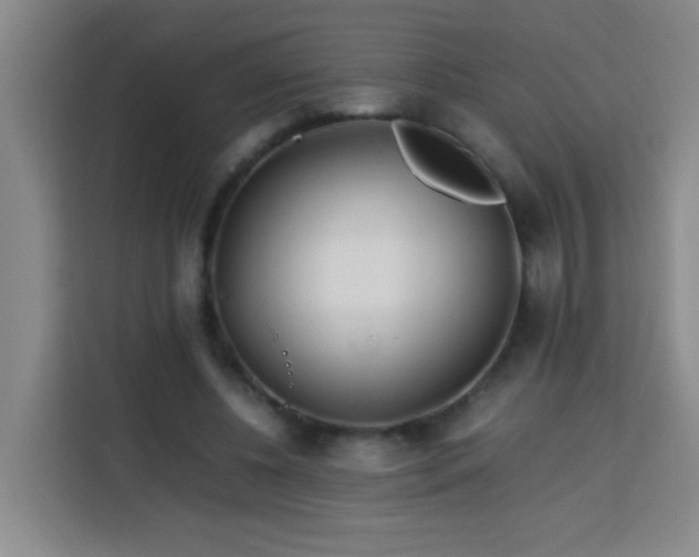 X0000113750540200909301034