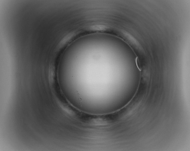 X0000113750544200909301034