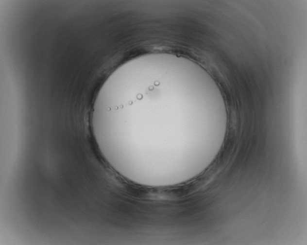 X0000113750545200909301034