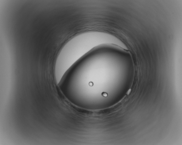 X0000113750546200909301034