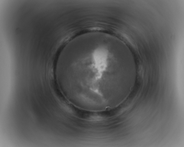 X0000113750547200909301034