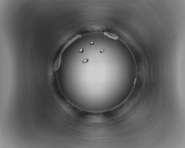 X0000113750548200909301034