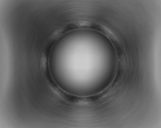 X0000113750550200909301034