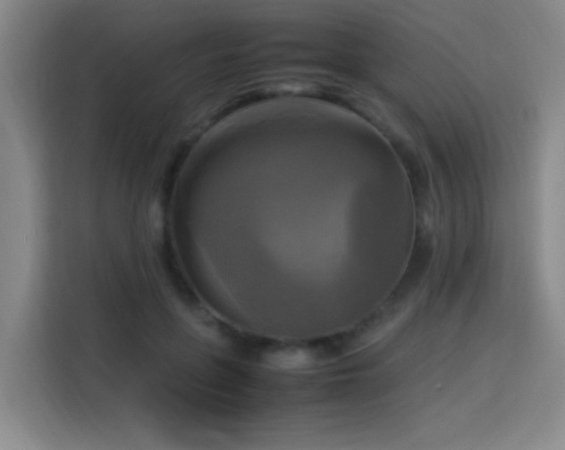 X0000113750551200909301034