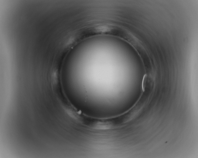 X0000113750556200909301034