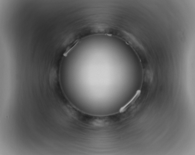 X0000113750560200909301034