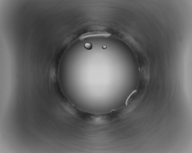 X0000113750564200909301034