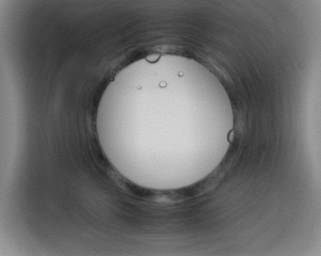 X0000113750569200909301034