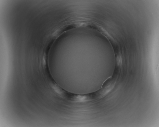 X0000113750570200909301034