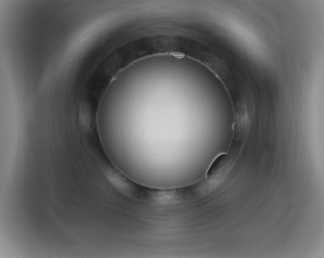 X0000113750574200909301034