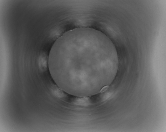 X0000113750576200909301034