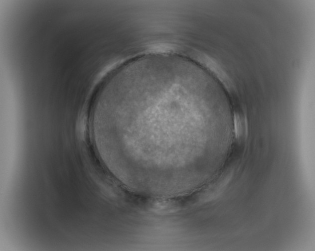 X0000113750579200909301033