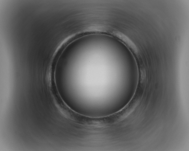 X0000113750580200909301033