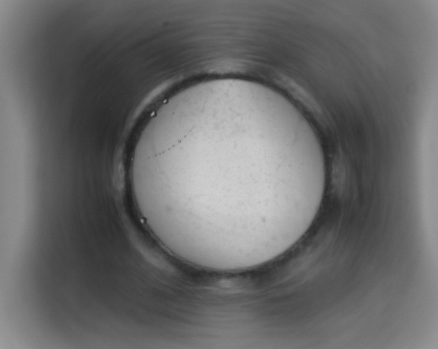 X0000113750584200909301033