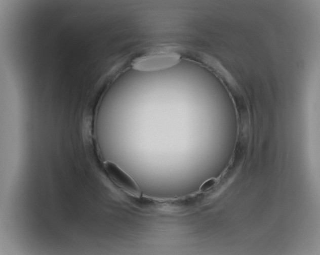 X0000113750585200909301033