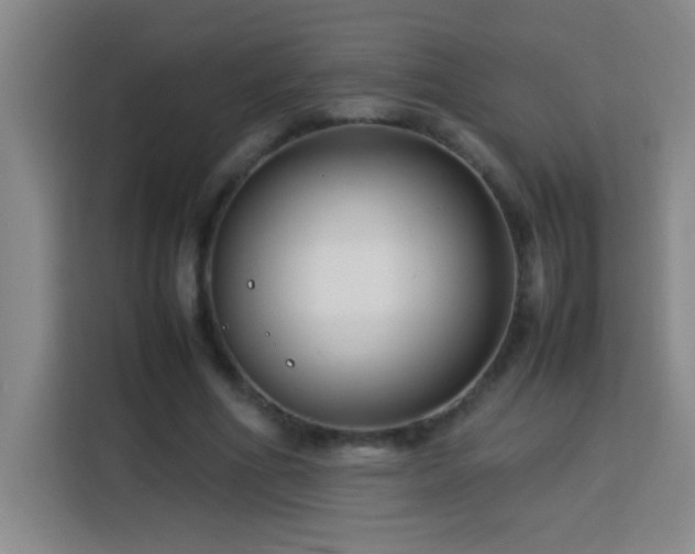 X0000113750586200909301033