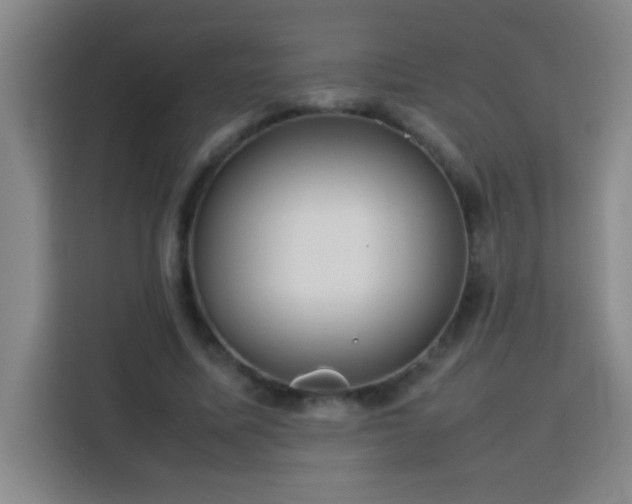 X0000113750587200909301033