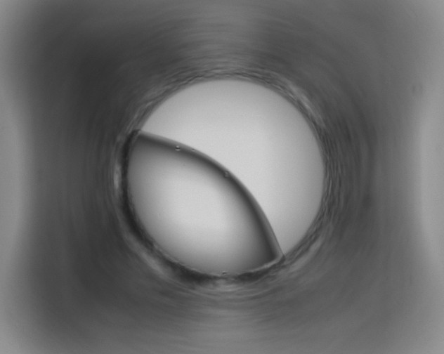 X0000113750589200909301033