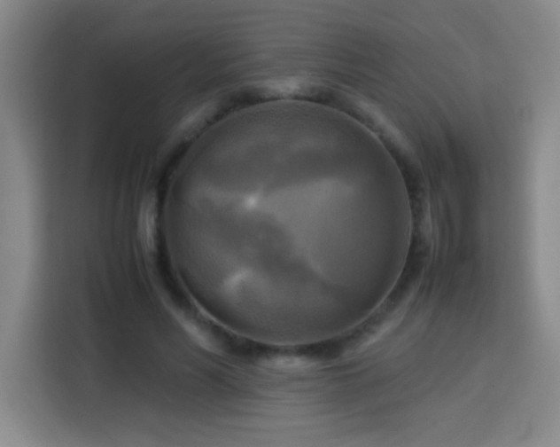 X0000113750590200909301033