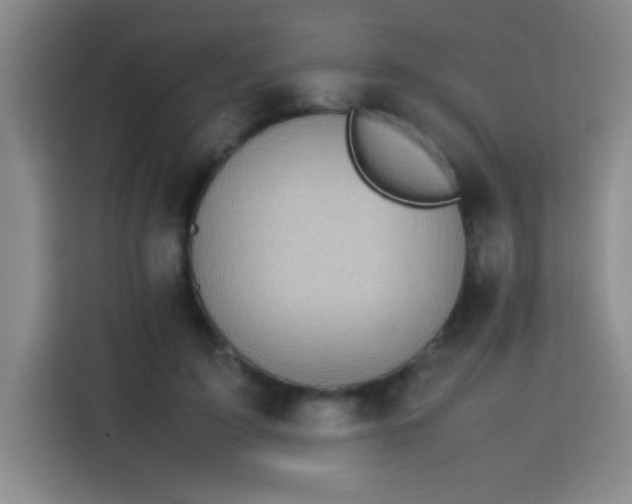 X0000113750595200909301033