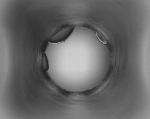 X0000113750597200909301033