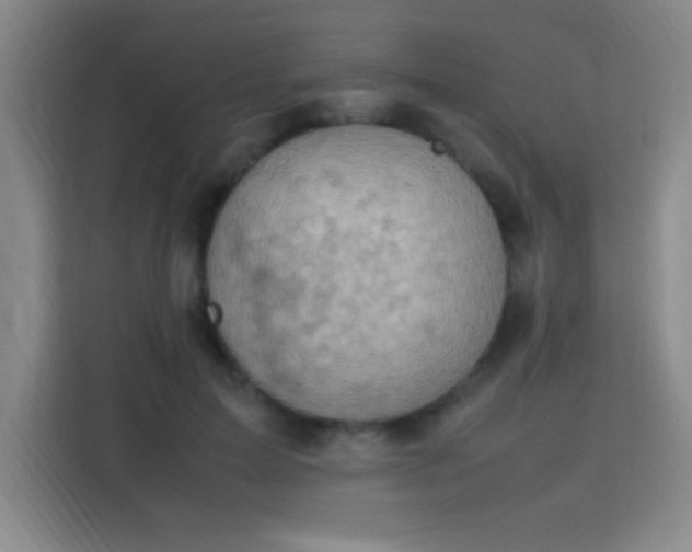 X0000113750599200909301033