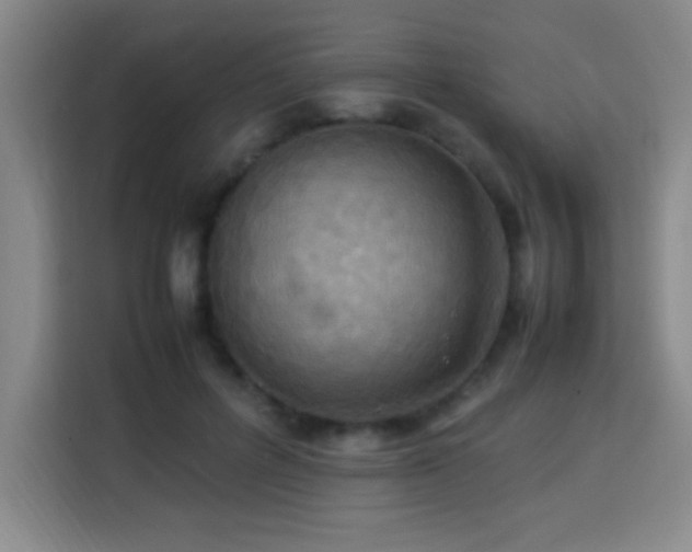 X0000113750600200909301033