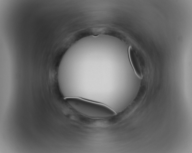 X0000113750601200909301033