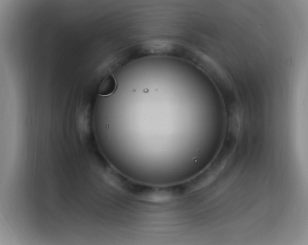 X0000113750604200909301033