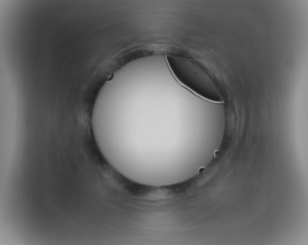 X0000113750609200909301033