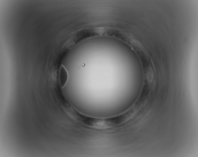 X0000113750611200909301033
