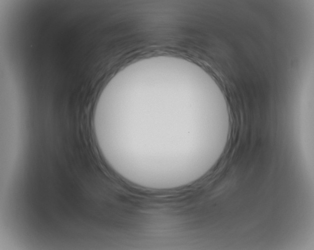 X0000113750613200909301033