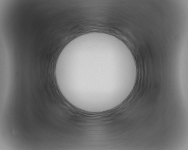 X0000113750621200909301033