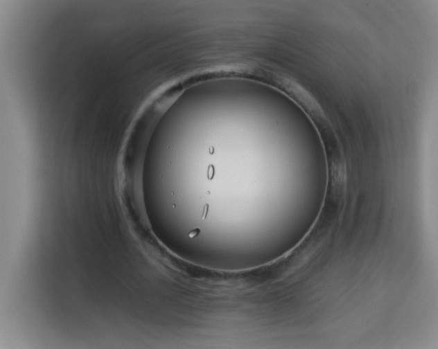 X0000113750628200909301032