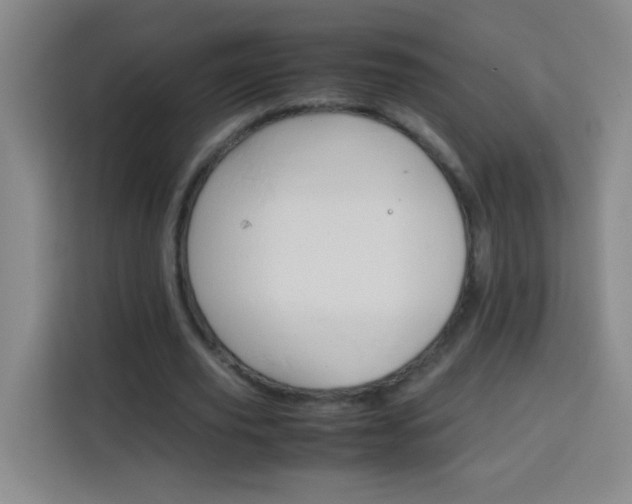 X0000113750629200909301032
