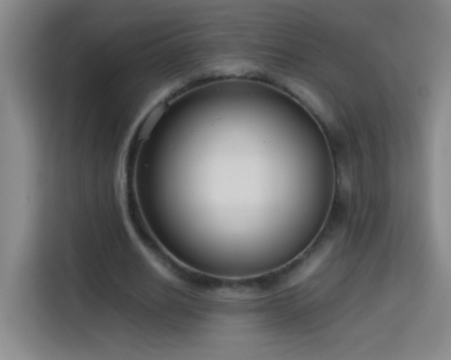X0000113750630200909301032