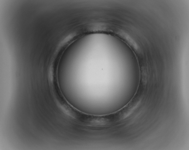 X0000113750631200909301032