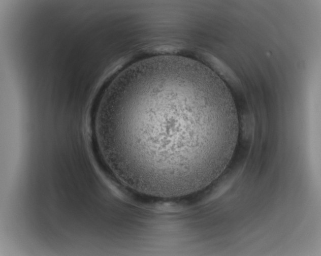 X0000113750634200909301032