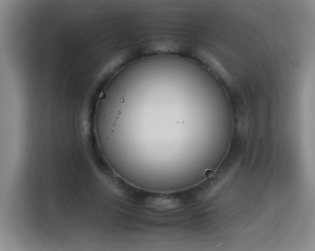 X0000113750635200909301032