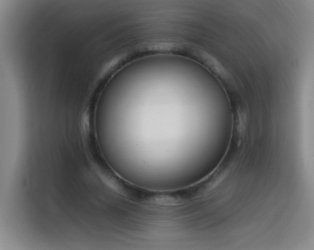 X0000113750636200909301032