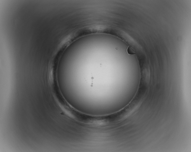 X0000113750638200909301032