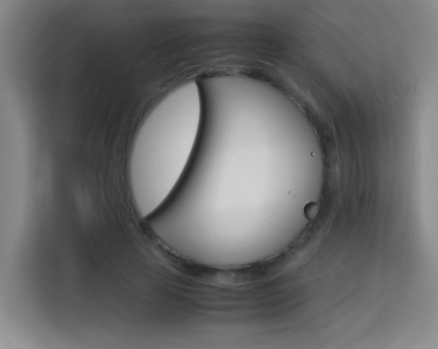 X0000113750641200909301032