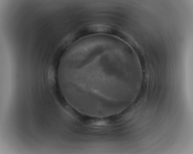 X0000113750643200909301032