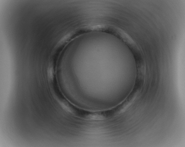 X0000113750644200909301032