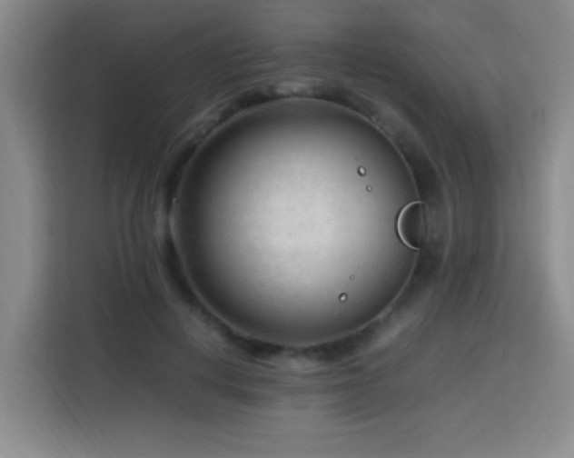 X0000113750648200909301032