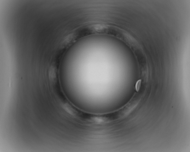 X0000113750654200909301033