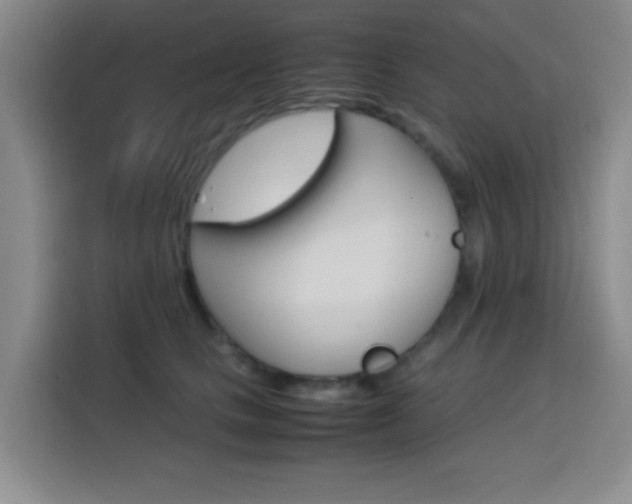 X0000113750661200909301033